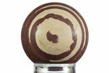 Polished Zebra Stone (Ediacaran Microbialite?) Sphere #330174-1